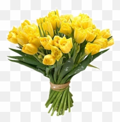 Bokeh Of Flowers Png Clipart - Bouquet Flowers Transparent Background Emoji,Boquet Emoji
