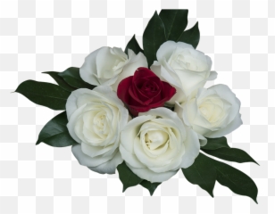 Emotion Roses Pink White - Rosa Branca Em Png Emoji,Roses Emoticon