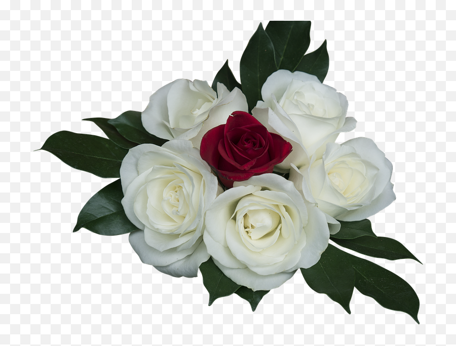 Emotion Roses Pink White - Rosa Branca Em Png Emoji,Roses Emoticon