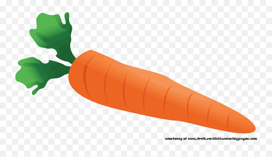 Carrot Clipart Single Vegetable Pencil And In Color Carrot - Carrot Clipart Png Emoji,Carrot Emoji