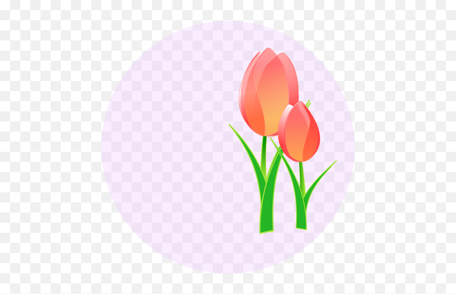 Vector Image Of A Tulips - Tulips Clip Art Emoji,Sakura Blossom Emoji