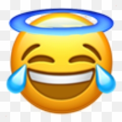 Popular and Trending ridi Stickers on PicsArt - Emblem Emoji