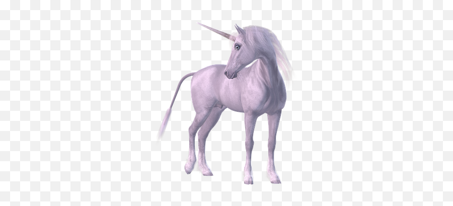 900 Free Horn U0026 Unicorn Illustrations - Pixabay Realistic Transparent Background Unicorn Png Emoji,Unicorn Emoticon