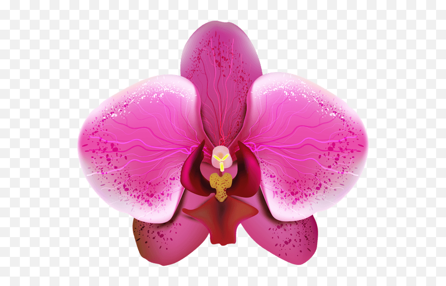 Free Pink Orchid Cliparts Download - Orquidea Png Emoji,Orchid Emoji