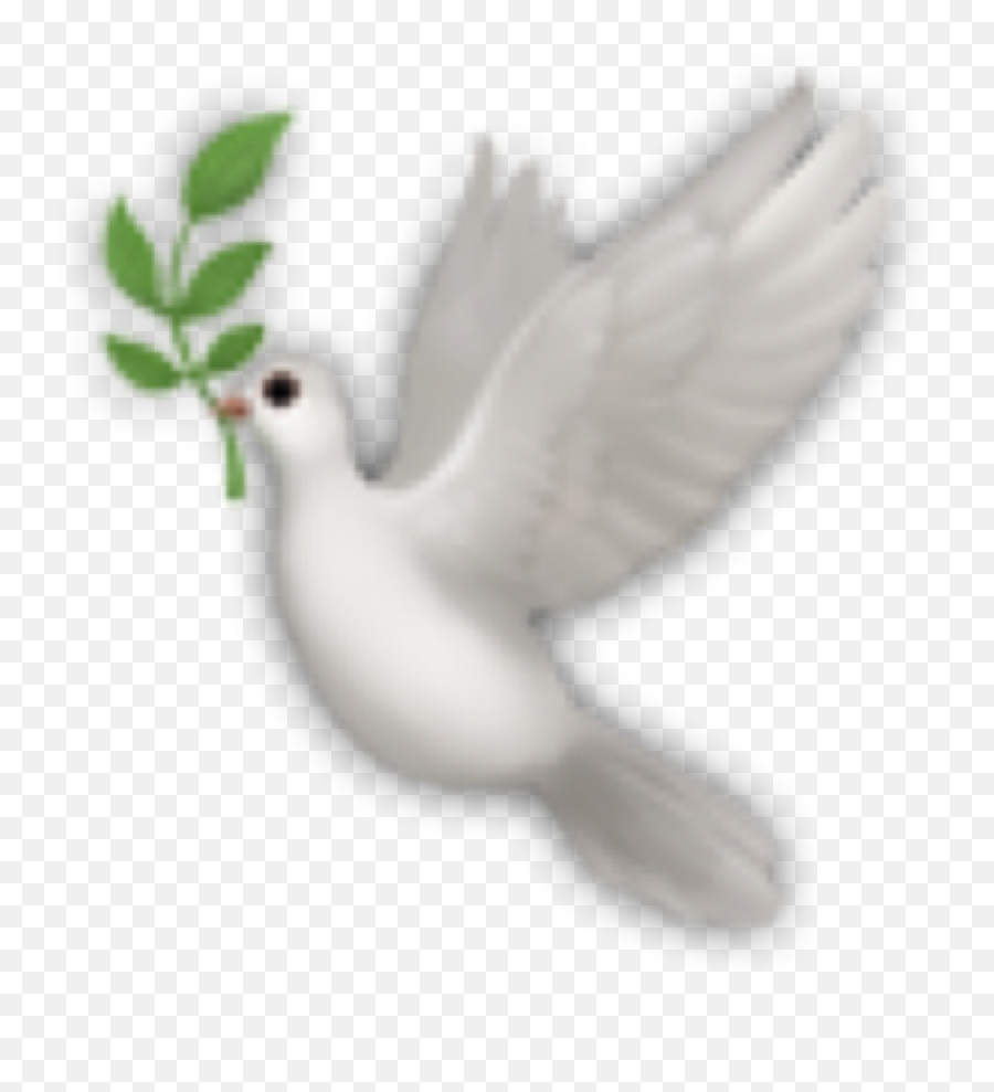 Bird Birds White Emoji Sticker - White Bird Emoji Png,Sakura Emoji