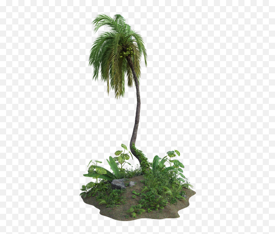 Tropical Palm Tree - Desert Palm Emoji,Palm Tree Book Emoji