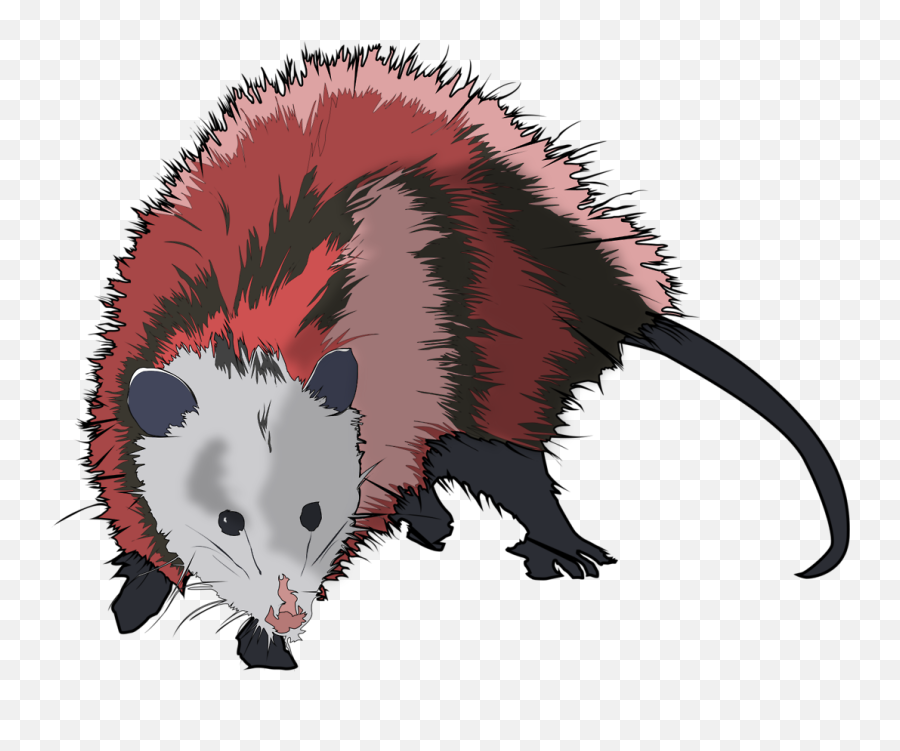 Sum Icon At Getdrawings Free Download - Opossum Vector Png Emoji,Possum Emoji