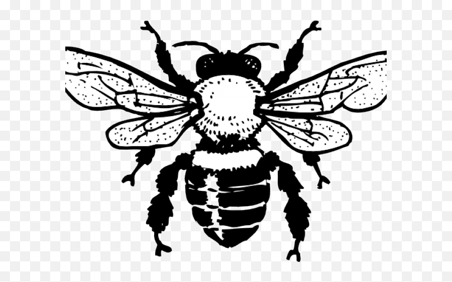 Gucci Clipart Bee - Png Download Full Size Clipart Bee Black And White Clip Art Emoji,Emoji Bee