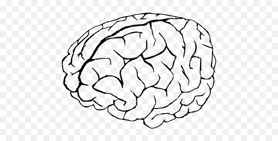 Vector Graphics Of Human Brain In White And Black - Transparent Background Brain Clipart Emoji,Emojis Are Cancer