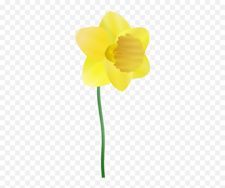 Jak Piszemy Te Wyrazy - Cartoon Daffodils Emoji,Daffodil Emoji