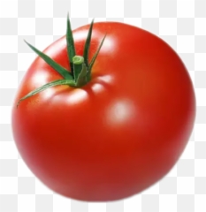 Largest Collection Of Free - Tomato Memes Emoji,Tomato Emoji