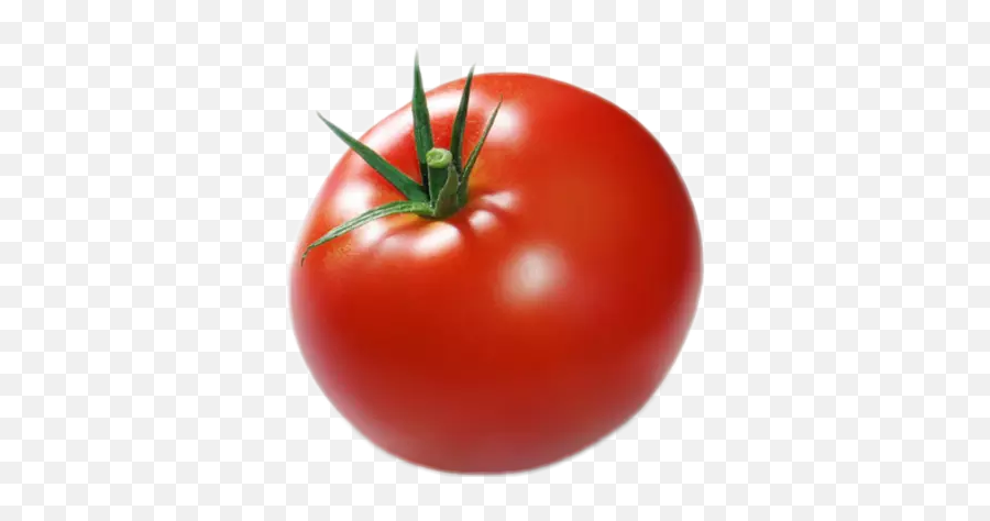 Largest Collection Of Free - Tomato Memes Emoji,Tomato Emoji