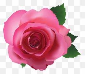 Pink Rose Transparent Png Image Png - Transparent Background Pink Rose Clipart Emoji,Rose Emoji Iphone