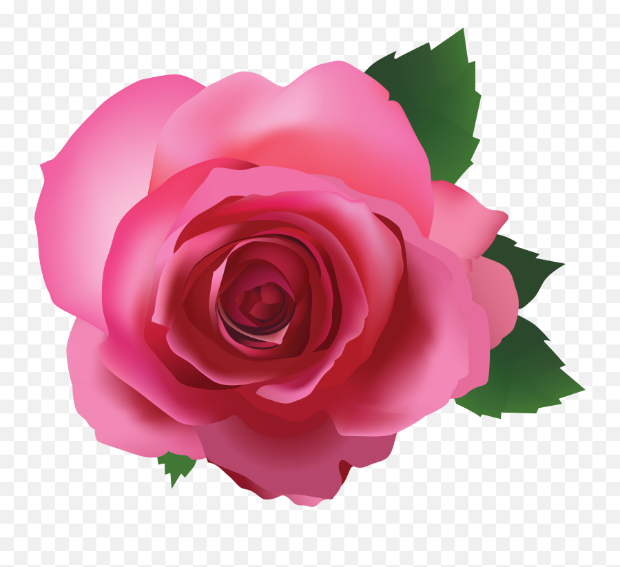 Pink Rose Transparent Png Image Png - Transparent Background Pink Rose Clipart Emoji,Rose Emoji Iphone