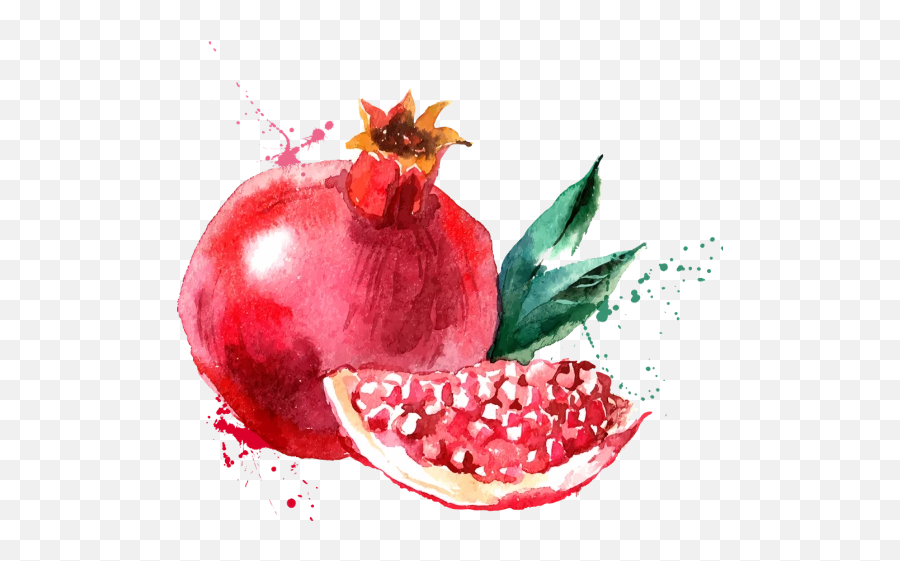 Popular And Trending Pomegranate Stickers - Pomegranate Drawing Water Color Emoji,Pomegranate Emoji