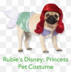 12 Days Of Princess Sweeps Disney Princess - Ariel Dog Costume Emoji,Pug Emoji Copy And Paste