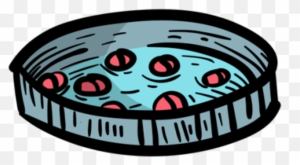 Transparent Png Svg Vector File - Circle Emoji