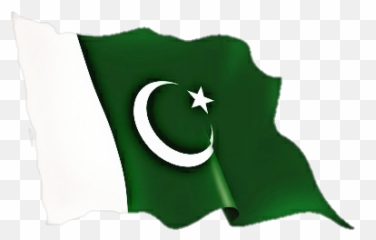 Pakistan Flag Sticker - Transparent Png Emoji
