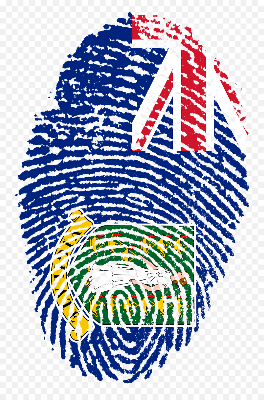 British Virgin Islands Flag Fingerprint - Turks And Caicos Flag Png Emoji,Virgin Islands Flag Emoji