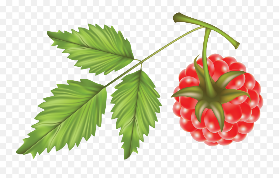 Pin Emoji,Raspberries Emoji