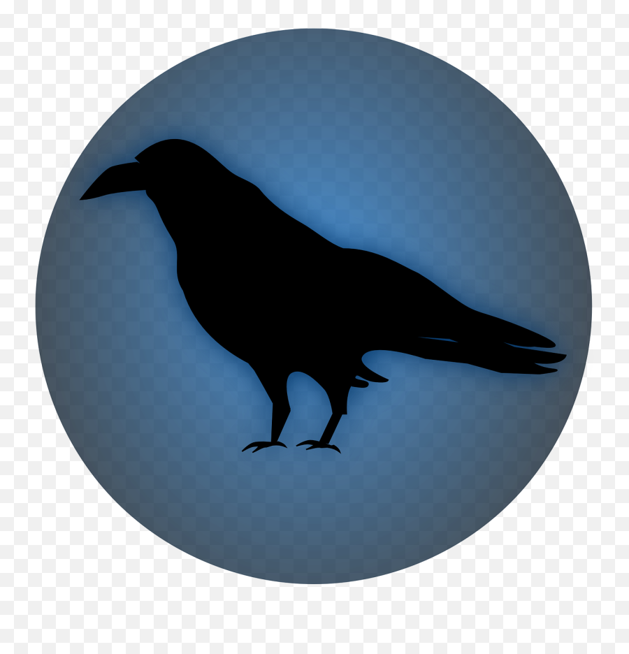 Raven Bird Black Wild Free Vector - Warren Street Tube Station Emoji,Raven Bird Emoji