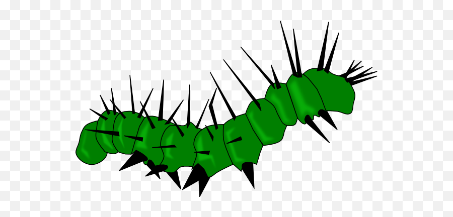 Caterpillar Clipart Insect Caterpillar Insect Transparent - Caterpillar Cliparts Emoji,Caterpillar Emoji