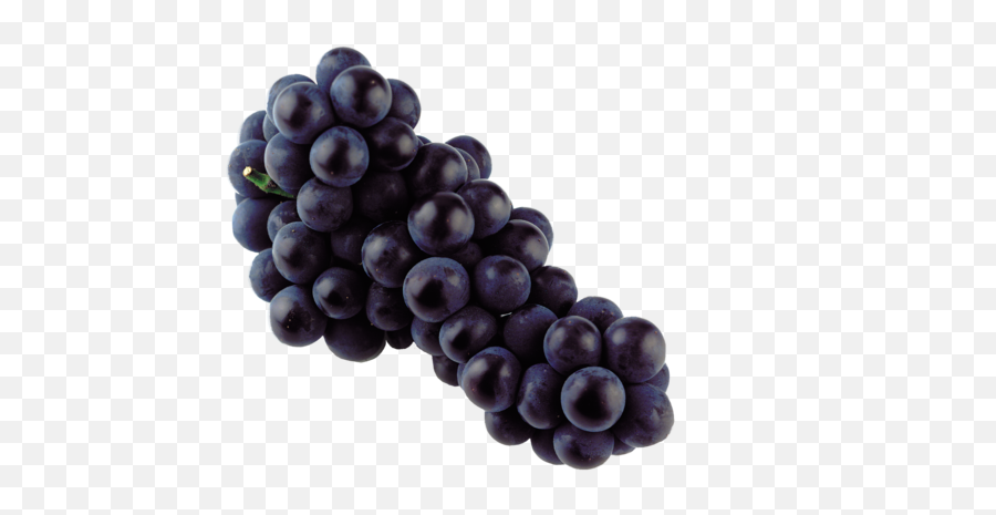 Grapes Blue - Transparent Black Grapes Png Emoji,Fruit Emoji Names