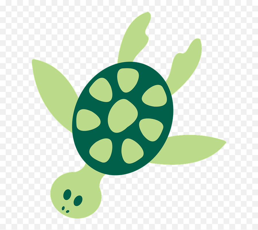 Aquatic Animal Png U0026 Free Aquatic Animalpng Transparent - Sea Turtle Clipart Png Emoji,Sea Turtle Emoji