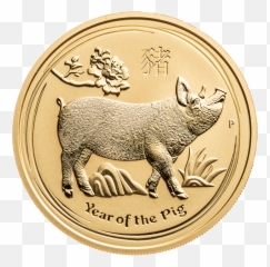 yearofthepig gold coin freetoedit - Coin Emoji