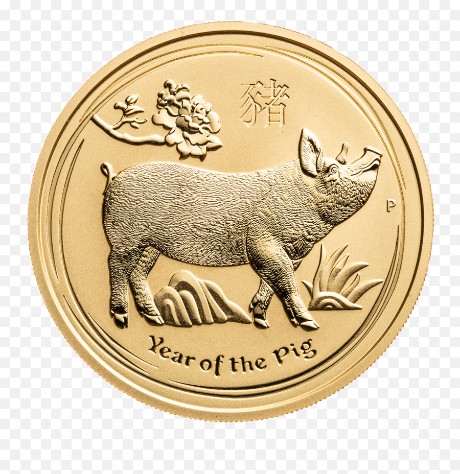 Yearofthepig Gold Coin Freetoedit - Coin Emoji,Gold Coin Emoji