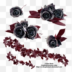 Png Stock Black Roses - Emoji