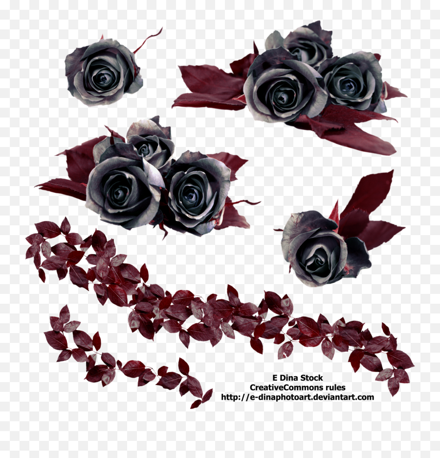 Png Stock Black Roses - Png Black Roses Emoji,Black Rose Emoji