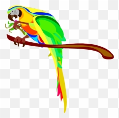 Free Parrot And Macaw Clipart - Eating Emoji