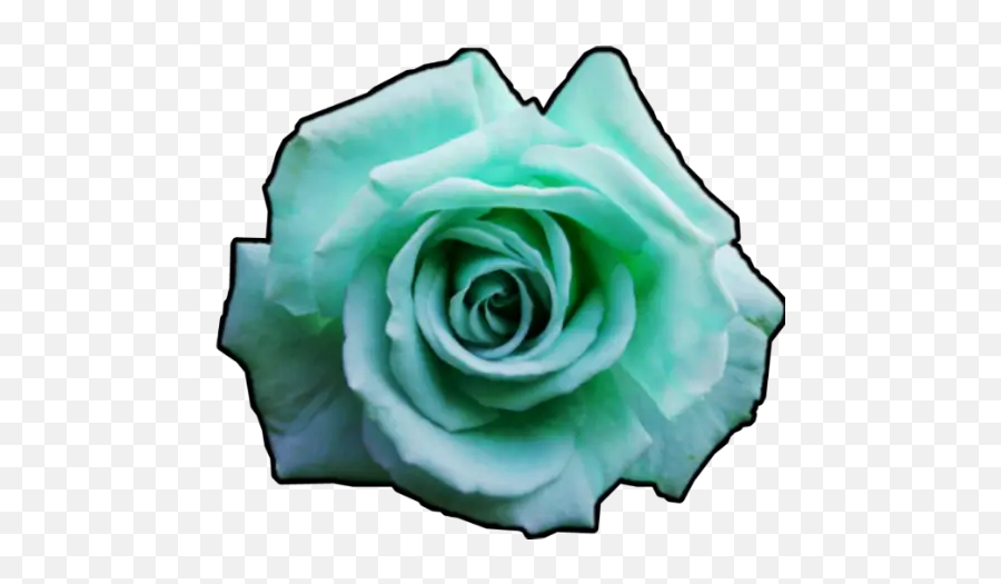 Flowers Stickers For Whatsapp - Blue Green Rose Png Emoji,Flower Emojis