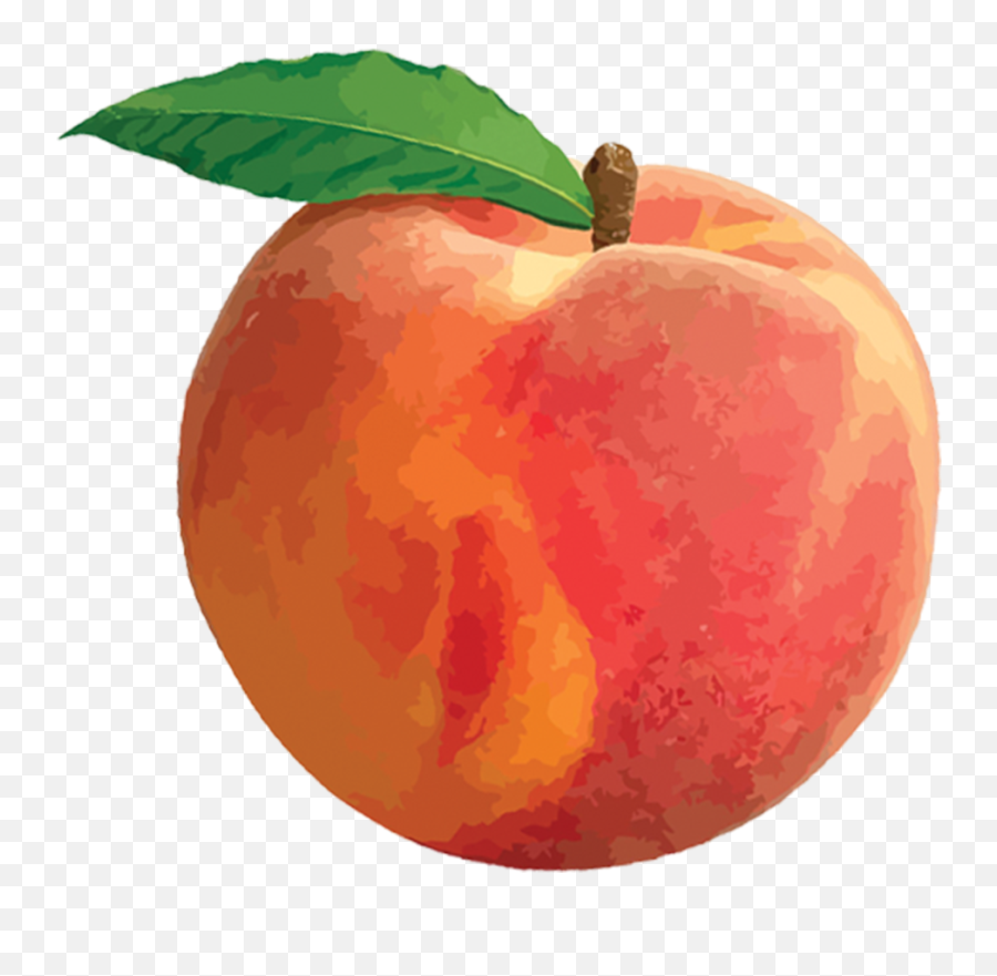 Peach Clipart Png - Transparent Background Peach Clipart Emoji,Peach Emoji Transparent Background