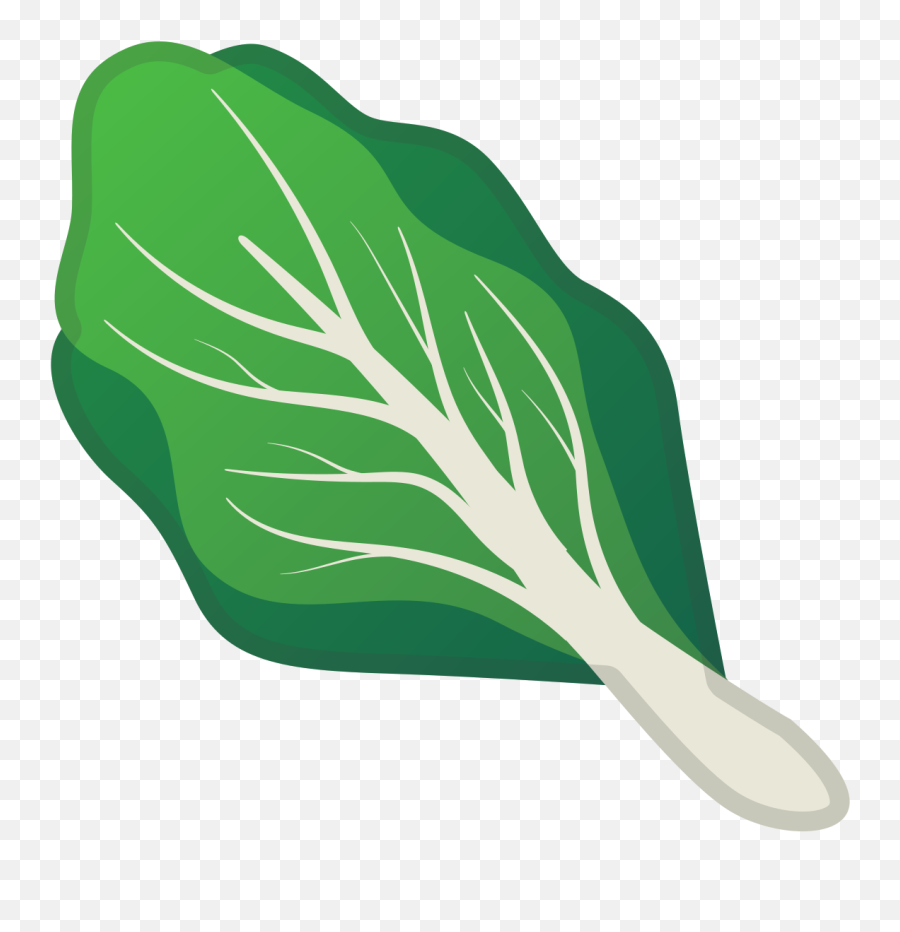 Noto Emoji Pie 1f96c - Kale Emoji,Leave Emoji