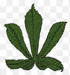 Horse Chestnut Leaf - Horse Chestnut Leaf Emoji,Weed Plant Emoji