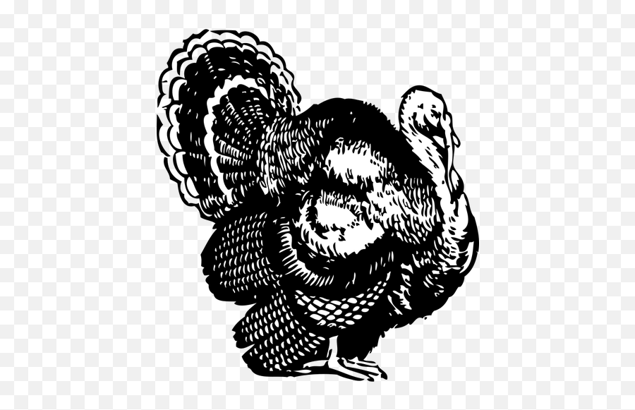 Turkey Vector Image - Turkey Clipart Black And White Emoji,Funny Thanksgiving Emoji