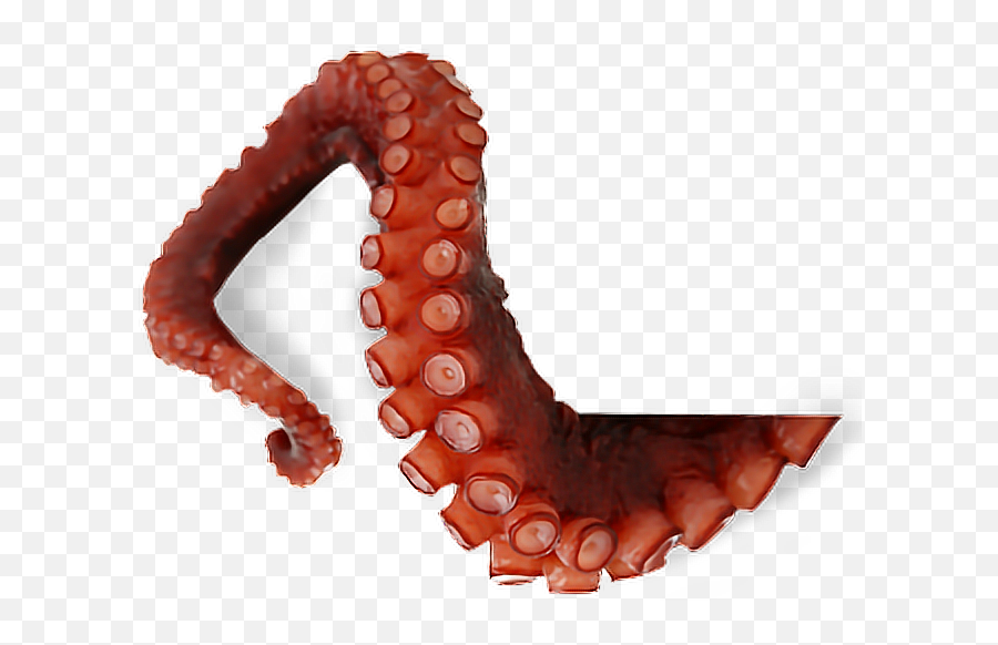 Ftestickers Oceanstickers Octopus Tentacles - Transparent Background Tentacles Png Emoji,Tentacle Emoji