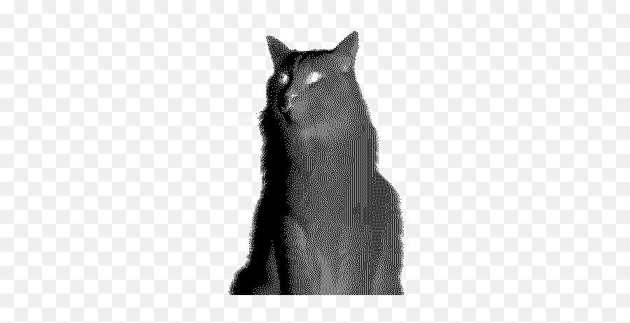 Top Cat Cute Kitten Stickers For - Aesthetic Dark Pixel Gif Emoji,White Cat Emoji