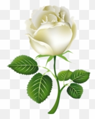 White Rose - White Rose Clipart Emoji,Roses Emoticon