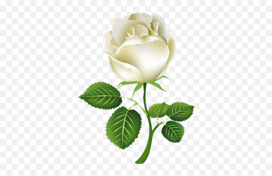 White Rose - White Rose Clipart Emoji,Roses Emoticon
