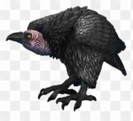 Free Png Images - Vulture Png Emoji,Vulture Emoji