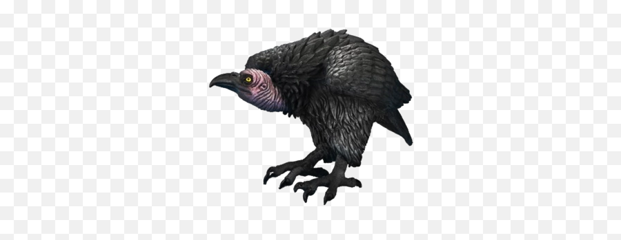 Free Png Images - Vulture Png Emoji,Vulture Emoji