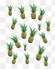Pineapple Pineapples Pineapples - Pineapple Emoji,Pineapple Emoji