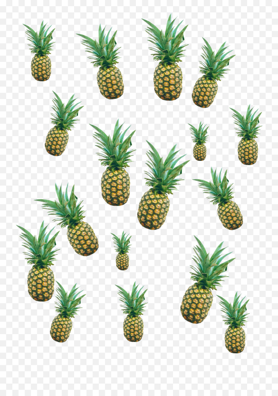 Pineapple Pineapples Pineapples - Pineapple Emoji,Pineapple Emoji