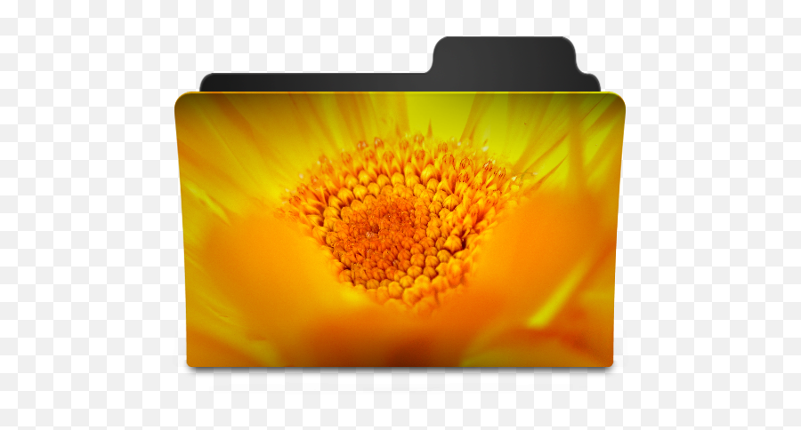 Daisy Flower Icon At Getdrawings Free Download - Folder Png Yellow Transparent Emoji,Sun Flower Emoji