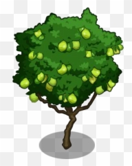 Guava Tree Clipart Png - Guava Tree Clipart Png Emoji,Guava Emoji