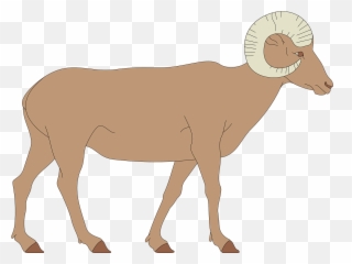 Sheep Walking Horns Animal Png Picpng - Bighorn Sheep Clipart Png Emoji,Sheep Emoji