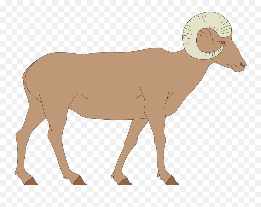 Sheep Walking Horns Animal Png Picpng - Bighorn Sheep Clipart Png Emoji,Sheep Emoji